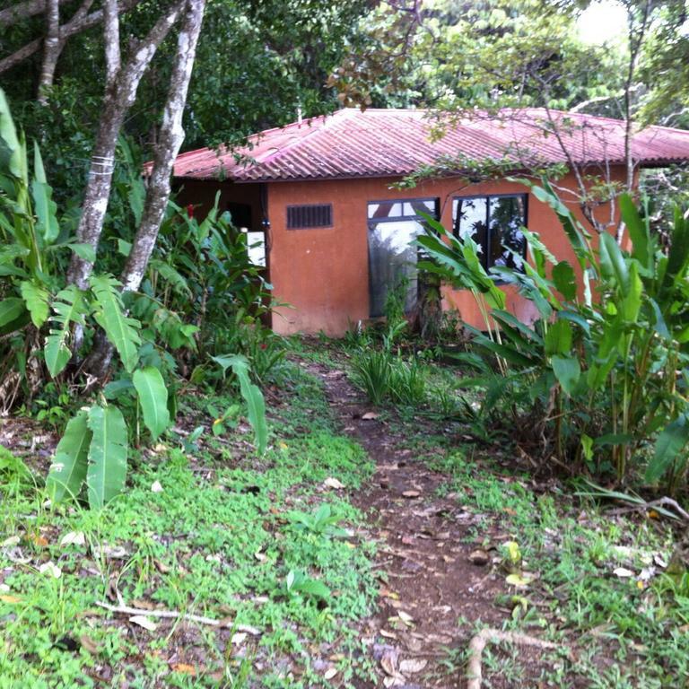 Howlers Bay Hotel Boca Chica Eksteriør bilde